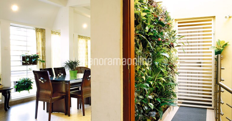 Vertical Garden Vertical Garden